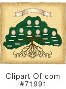 Family Tree Clipart #71991 by inkgraphics