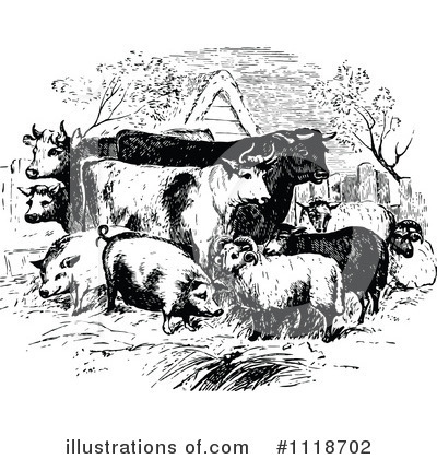 Pigs Clipart #1118702 by Prawny Vintage
