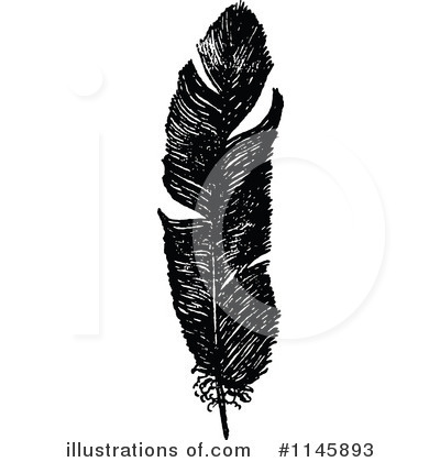 Feather Clipart #1145893 by Prawny Vintage