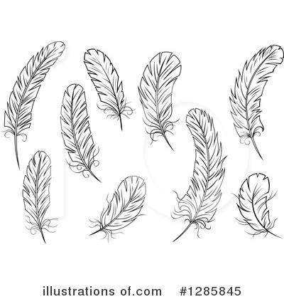 Royalty-Free (RF) Feather Clipart Illustration by Vector Tradition SM - Stock Sample #1285845
