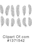 Feather Clipart #1371542 by Vector Tradition SM