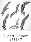 Feather Clipart #73647 by BestVector