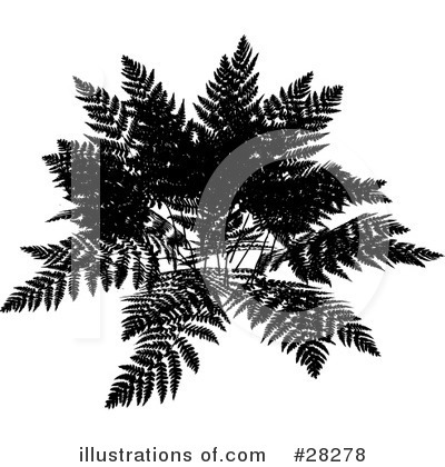 Fern Clipart #28278 by KJ Pargeter