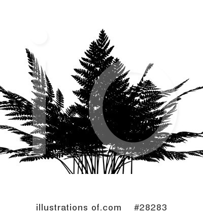 Fern Clipart #28283 by KJ Pargeter