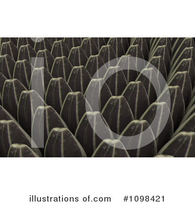 Fibonacci Clipart #1098421 by Leo Blanchette