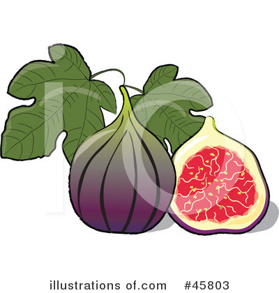Royalty-Free (RF) Fig Clipart Illustration by Pams Clipart - Stock Sample #45803
