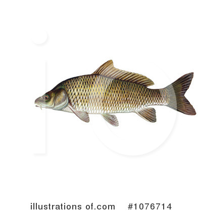Royalty-Free (RF) Fish Clipart Illustration by JVPD - Stock Sample #1076714