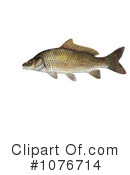 Fish Clipart #1076714 by JVPD