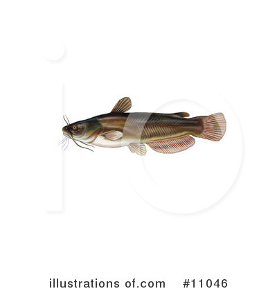 Fish Clipart #11046 by JVPD
