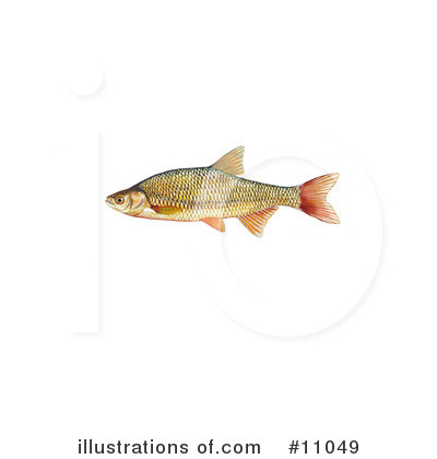 Royalty-Free (RF) Fish Clipart Illustration by JVPD - Stock Sample #11049