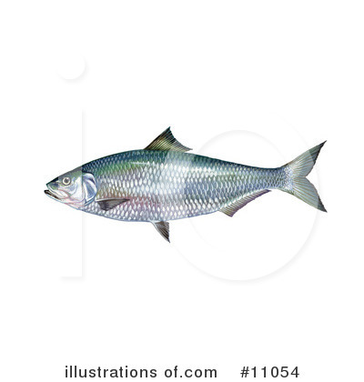 Royalty-Free (RF) Fish Clipart Illustration by JVPD - Stock Sample #11054