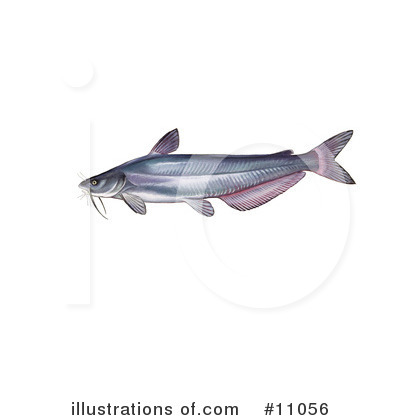 Royalty-Free (RF) Fish Clipart Illustration by JVPD - Stock Sample #11056