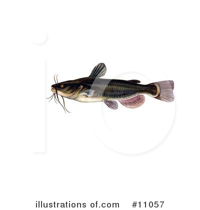 Royalty-Free (RF) Fish Clipart Illustration by JVPD - Stock Sample #11057