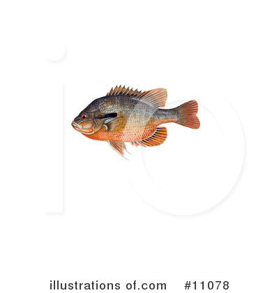 Royalty-Free (RF) Fish Clipart Illustration by JVPD - Stock Sample #11078