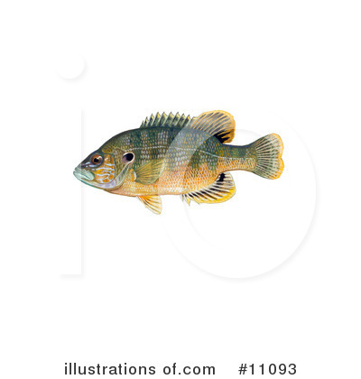 Royalty-Free (RF) Fish Clipart Illustration by JVPD - Stock Sample #11093