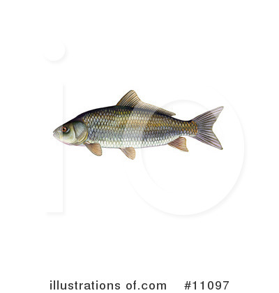 Royalty-Free (RF) Fish Clipart Illustration by JVPD - Stock Sample #11097