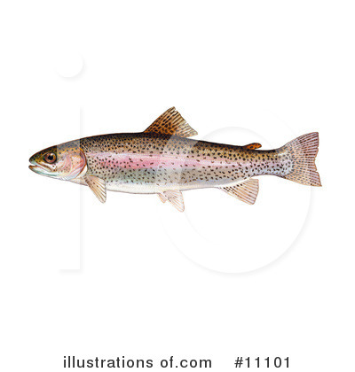 Royalty-Free (RF) Fish Clipart Illustration by JVPD - Stock Sample #11101