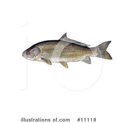 Royalty-Free (RF) Fish Clipart Illustration by JVPD - Stock Sample #11118