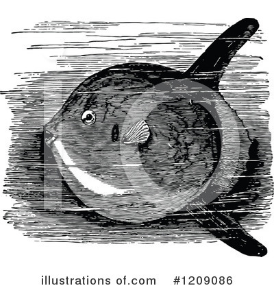 Royalty-Free (RF) Fish Clipart Illustration by Prawny Vintage - Stock Sample #1209086