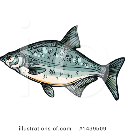 Bream Fish Clipart #1439509 by Vector Tradition SM