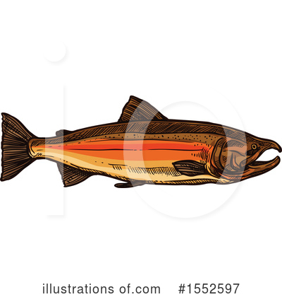Salmon Clipart #1552597 by Vector Tradition SM