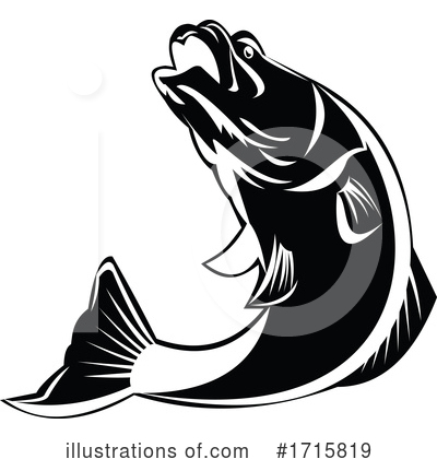 Sea Bass Clipart #1715819 by patrimonio