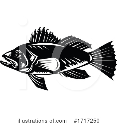 Sea Bass Clipart #1717250 by patrimonio