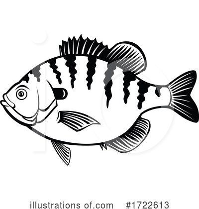 Bream Clipart #1722613 by patrimonio