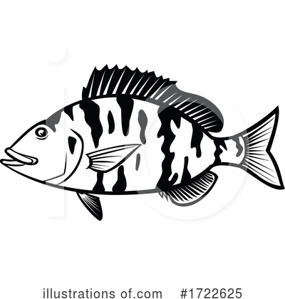 Royalty-Free (RF) Fish Clipart Illustration by patrimonio - Stock Sample #1722625