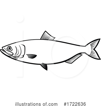 Royalty-Free (RF) Fish Clipart Illustration by patrimonio - Stock Sample #1722636