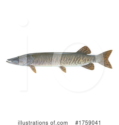Royalty-Free (RF) Fish Clipart Illustration by JVPD - Stock Sample #1759041
