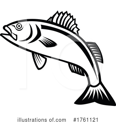 Sea Bass Clipart #1761121 by patrimonio