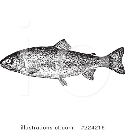 Royalty-Free (RF) Fish Clipart Illustration by BestVector - Stock Sample #224216