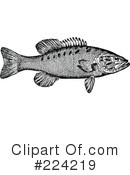 Fish Clipart #224219 by BestVector