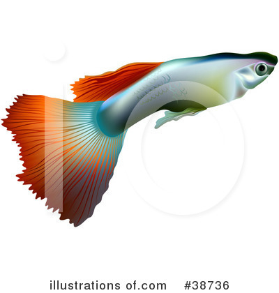 Fish Clipart #38736 by dero