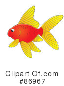 Fish Clipart #86967 by Alex Bannykh