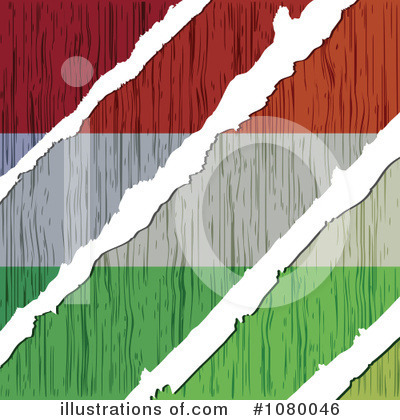 Royalty-Free (RF) Flag Clipart Illustration by Andrei Marincas - Stock Sample #1080046