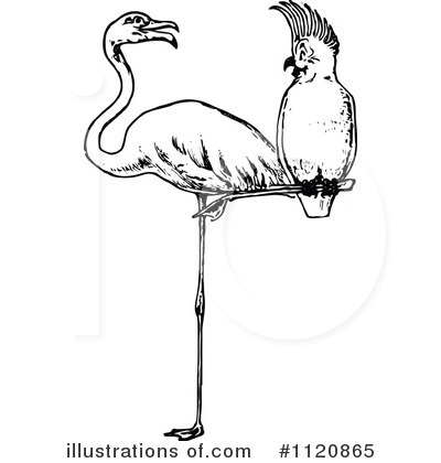 Royalty-Free (RF) Flamingo Clipart Illustration by Prawny Vintage - Stock Sample #1120865