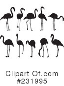 Flamingo Clipart #231995 by Frisko