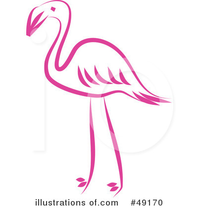 Flamingo Clipart #49170 by