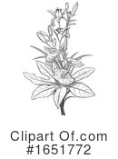 Floral Clipart #1651772 by dero