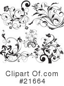 Floral Elements Clipart #21664 by OnFocusMedia