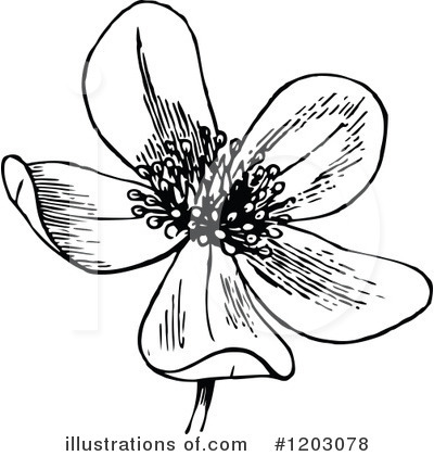 Royalty-Free (RF) Flower Clipart Illustration by Prawny Vintage - Stock Sample #1203078