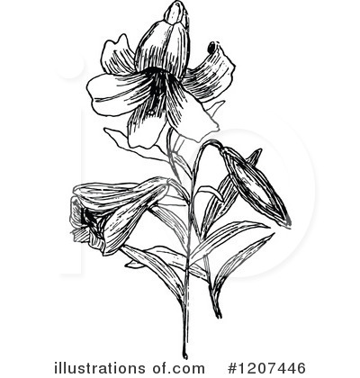 Royalty-Free (RF) Flower Clipart Illustration by Prawny Vintage - Stock Sample #1207446
