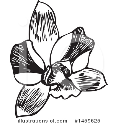 Orchid Clipart #1459625 by Cherie Reve