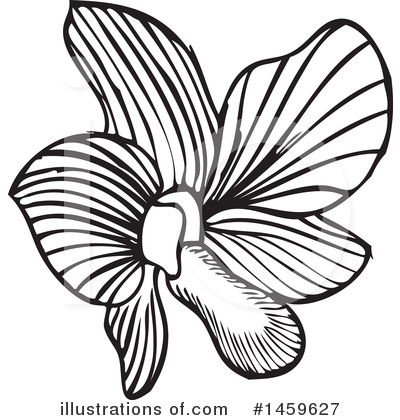 Orchid Clipart #1459627 by Cherie Reve