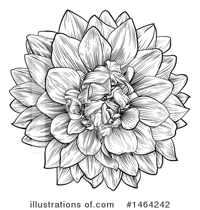 Royalty-Free (RF) Flower Clipart Illustration by AtStockIllustration - Stock Sample #1464242
