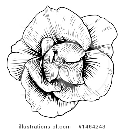 Royalty-Free (RF) Flower Clipart Illustration by AtStockIllustration - Stock Sample #1464243