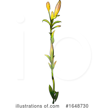 Royalty-Free (RF) Flower Clipart Illustration by dero - Stock Sample #1648730