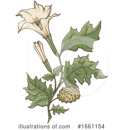 Royalty-Free (RF) Flower Clipart Illustration by Any Vector - Stock Sample #1661154